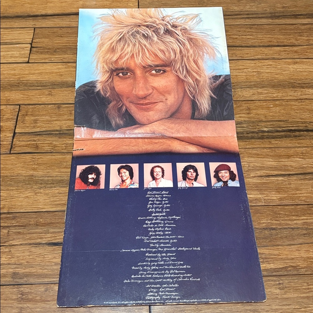 Rod Stewart  Blondes Have More Fun LP Vinyl Record (1978, Warner Bros. BSK 3261) - Picture 3 of 6